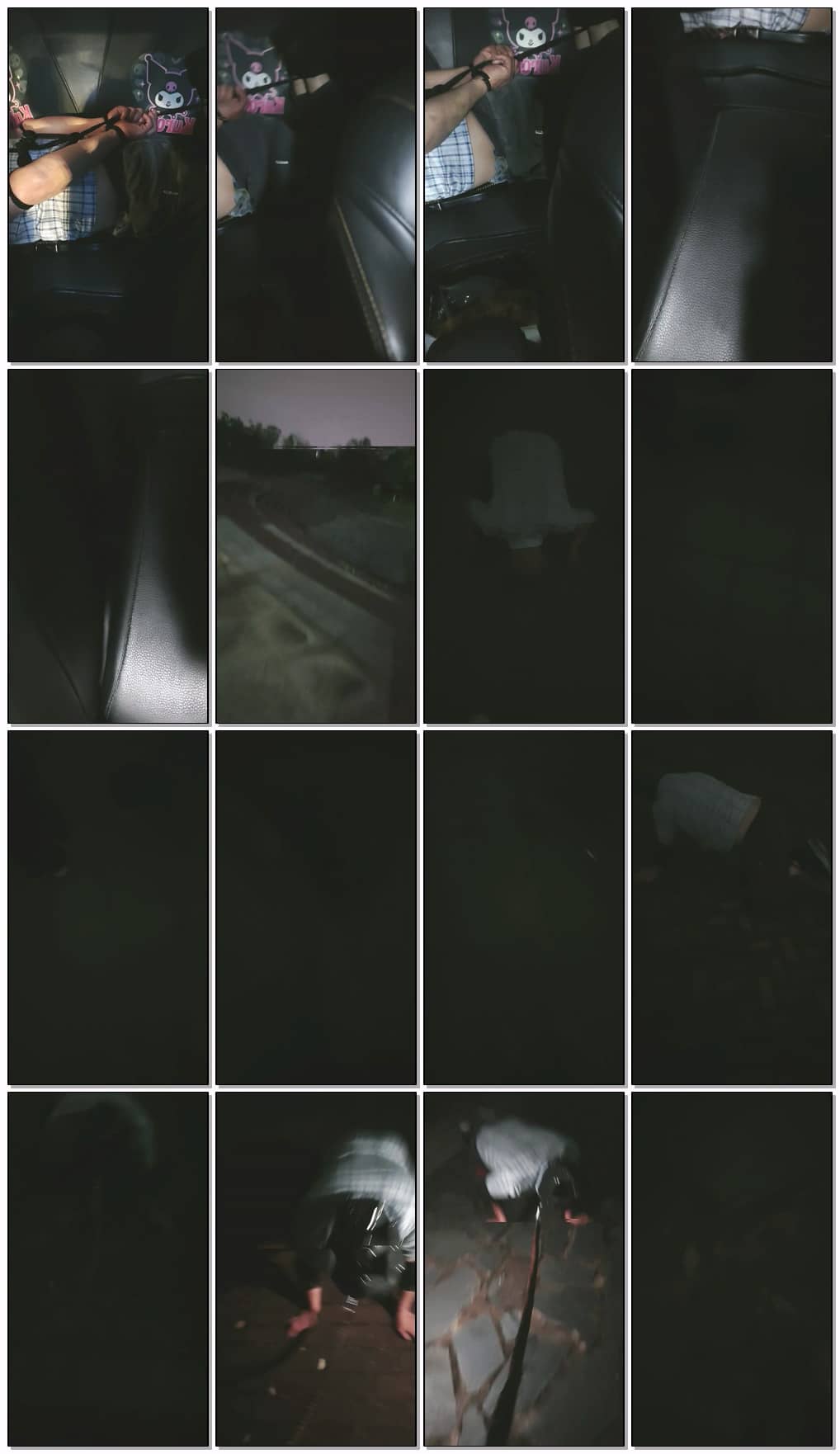 TJSP-101120.jpg